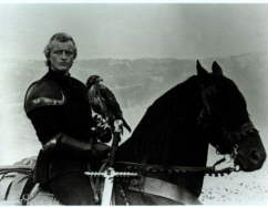 Rutger
